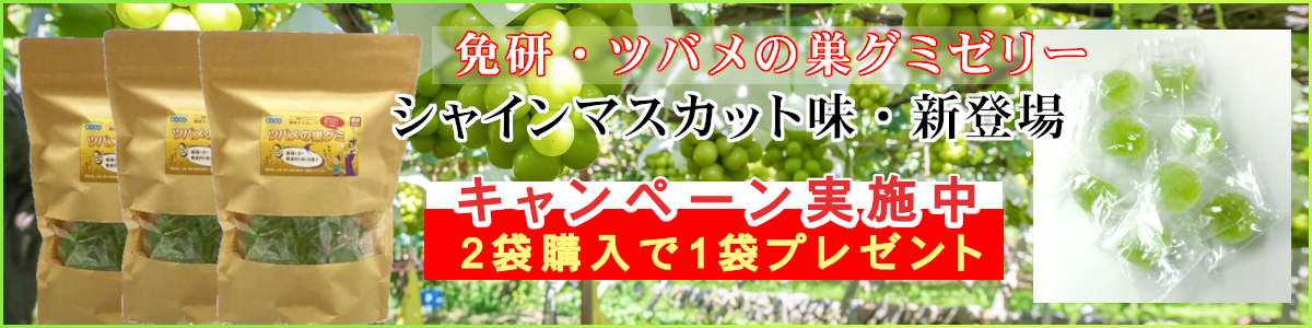 シャインマスカット味新発売キャンペーン 2袋購入で1袋プレゼント